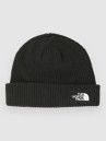 THE NORTH FACE Salty Lined Beanie