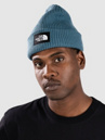 THE NORTH FACE Salty Lined Beanie