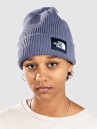 THE NORTH FACE Salty Lined Beanie