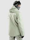 THE NORTH FACE Descendit Jacket