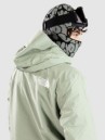 THE NORTH FACE Descendit Jacket