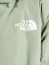 THE NORTH FACE Descendit Jacket