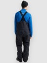 Burton AK Gore-Tex Cyclic Bib Pants