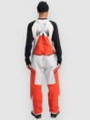 Burton Gore-Tex Reserve 2L Bib Pants