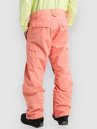 Burton Reserve 2L Pants