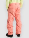Burton Reserve 2L Pants