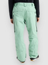 Burton AK Gore-Tex Swash Pants