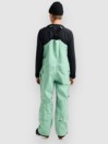 Burton AK Gore-Tex Freebird Bib Pants