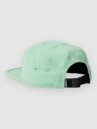 Anon 5 Panel Cap