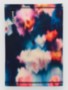 floral blur
