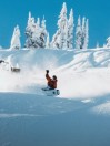 Burton Family Tree Hth 2026 Snowboard