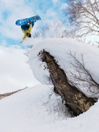 Burton Family Tree Sketch Artist 2026 Snowboard