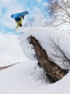 Burton Family Tree Sketch Artist 2026 Snowboard