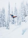 Burton Family Tree Smooth Operator 2026 Snowboard