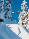 Burton Custom 2026 Snowboard