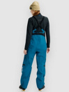 Burton AK Gore-Tex Acr 3L Bib Pants
