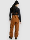 Burton AK Gore-Tex Acr 3L Bib Pants