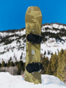 Burton Family Tree Hometown Hero Smalls 2026 Kids Snowboard