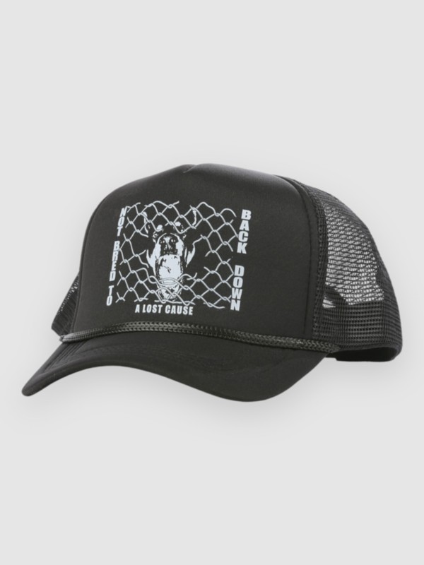 A Lost Cause Backdown Trucker Cap black