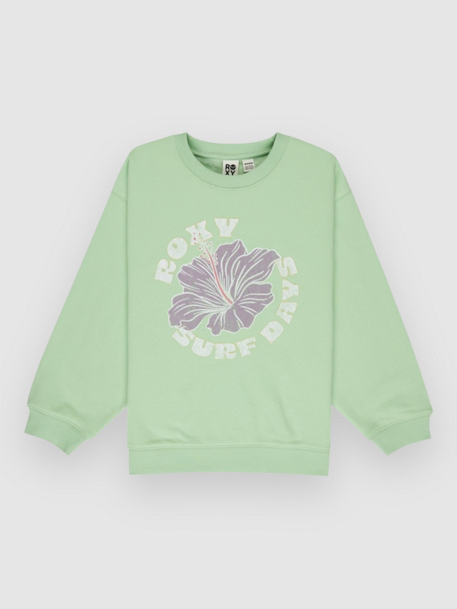 Roxy Morning Hike Brushed Rg Kids Neulepaita