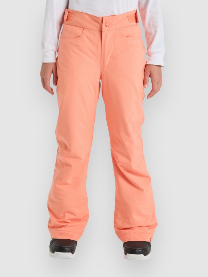 Roxy Backyard Kids Pants