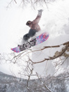 Nidecker Gamma 2026 Snowboard