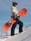 Jones Snowboards Rally Cat 2026 Snowboard