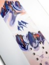 Jones Snowboards Twin Sister 2026 Snowboard