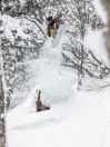 Bataleon Cameleon 2026 Snowboard