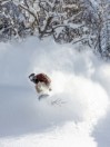 Bataleon Cameleon 2026 Snowboard