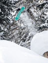 Bataleon Goliath 2026 Snowboard