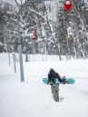 Bataleon Goliath 2026 Snowboard