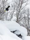 Bataleon Surfer 2026 Snowboard