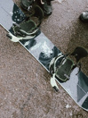 Rome Artifact Pro 2026 Snowboard