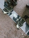 Rome Artifact Pro 2026 Snowboard