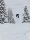 Rome Service Dog 2026 Snowboard