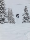 Rome Service Dog 2026 Snowboard