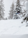 Rome Service Dog 2026 Snowboard