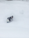 Rome Service Dog 2026 Snowboard