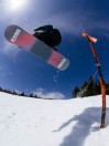 Rome Party Mod 2026 Snowboard