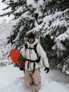 Rome Ravine 2026 Snowboard