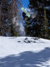 Nitro Alternator 2026 Snowboard