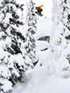 Lib Tech Lib Rig 2026 Snowboard