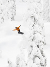 Lib Tech Lib Rig 2026 Snowboard