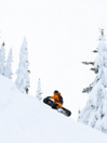 Lib Tech Lib Rig 2026 Snowboard