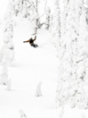 Lib Tech Orca 2026 Snowboard