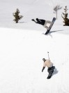 Lib Tech Skunk Ape 2026 Snowboard