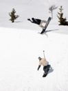 Lib Tech Skunk Ape Camber 2026 Snowboard
