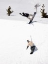 Lib Tech Skunk Ape Camber 2026 Snowboard