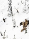 Lib Tech Golden Orca 2026 Snowboard